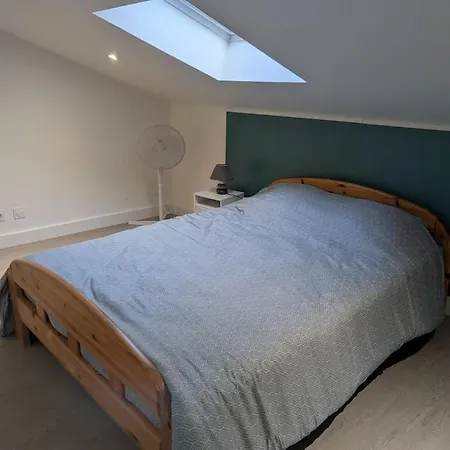 Bleu Poult - Duplex Avec Terrasse * 蒙托邦