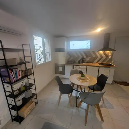 Bleu Poult - Duplex Avec Terrasse 公寓 蒙托邦