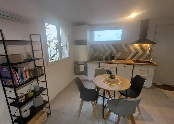 Bleu Poult - Duplex Avec Terrasse 公寓 蒙托邦